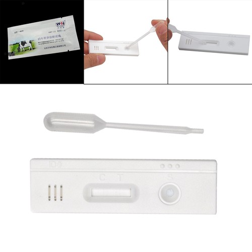 Pregnancy test paper cow - paper,