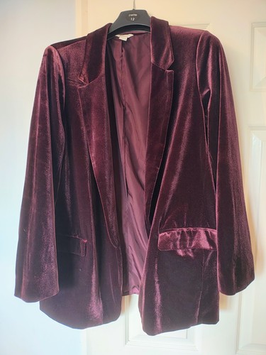 Monsoon velvet blazer - velvet,