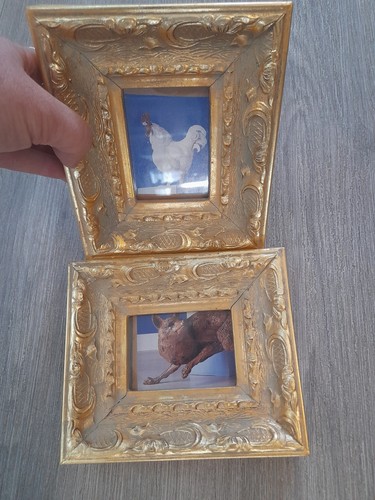Baroque gold ornate pair - baroque,