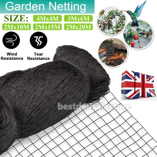 Pond netting anti bird net - netting,
