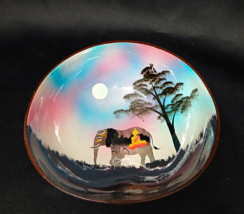 Hand painted coconut - hand,