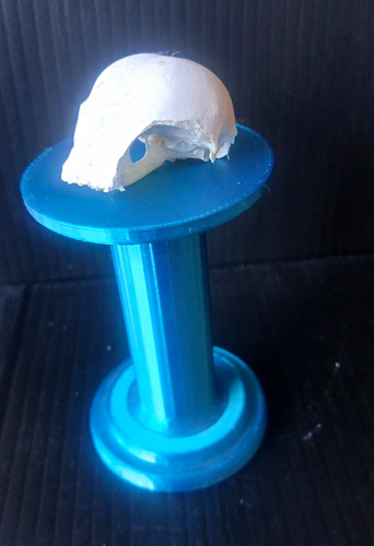 Small animal skull uppet - animal,