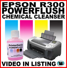 Epson R300 R310 Printhead