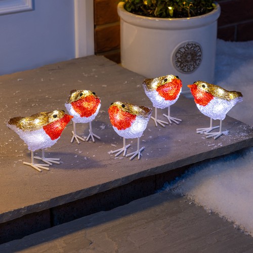 Robin christmas lights indoor - christmas,