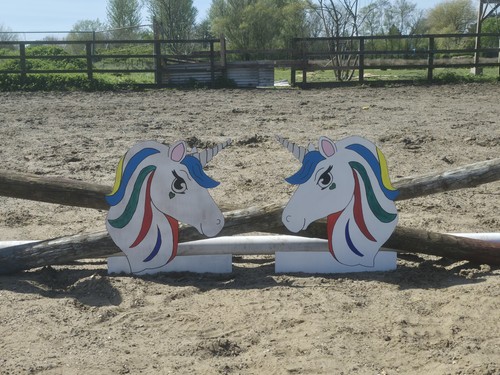 Horse pony pink unicorn show - &,