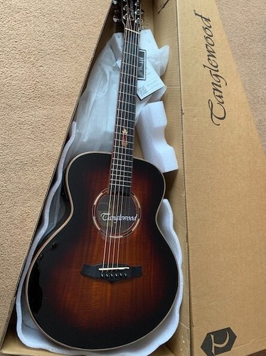 Tanglewood twx1ek travel size - twx1ek,