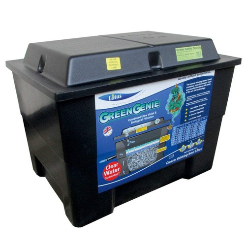 Lotus green genie 30000 fish - lotus,