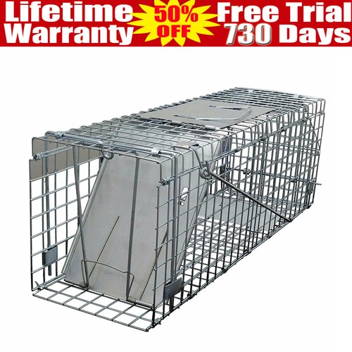Cat trap large - large, animal