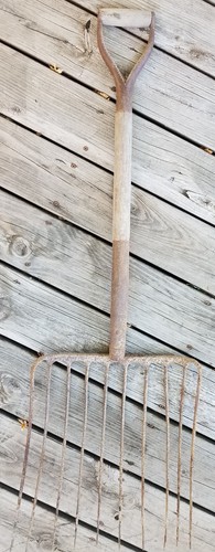 Antique farm implement tine - farm,