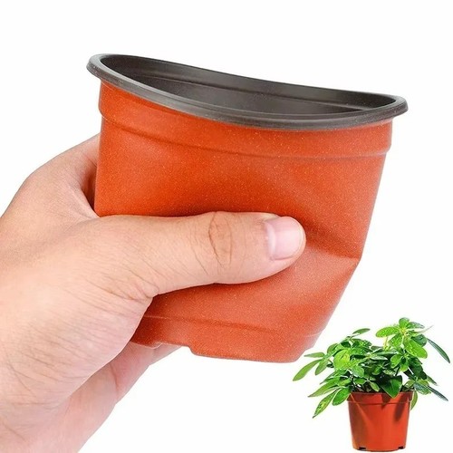 75pack plant pots - plant, plastic