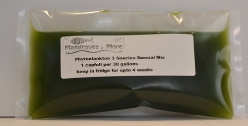 Live phytoplankton mix - live,