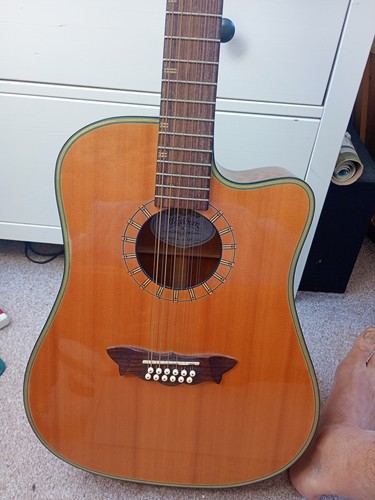 Washburn d46sce12 string - washburn,