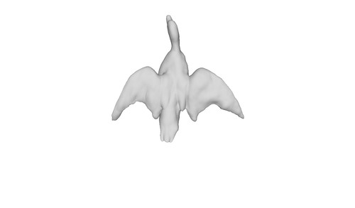 Printle animal duck - animal, duck--mallard