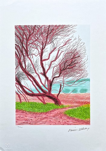 David hockney the - david, arrival
