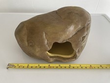 Exo Terra Large Leopard Gecko