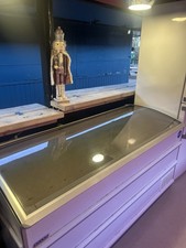 Novum Commercial Chest Freezer