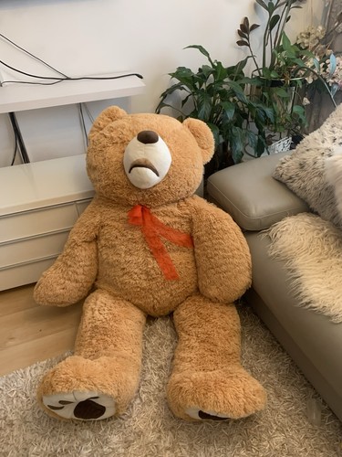 Giant very large - very, teddy