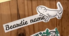 Personalised Bearded Dragon