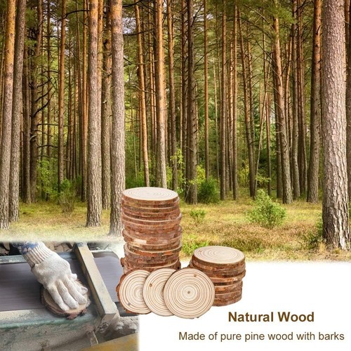 400 wood slices for - slices,