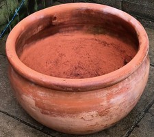 Garden terracotta Clay Plant