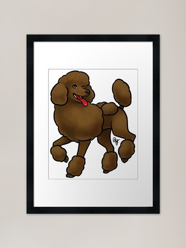 Dog standard poodle - dog,