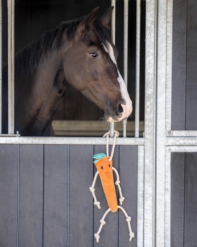 Qhp carrot horse toy field - carrot,