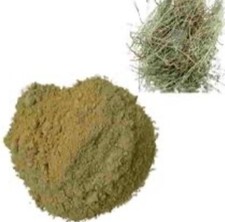 Bhumi-Amla Powder (Phyllanthus