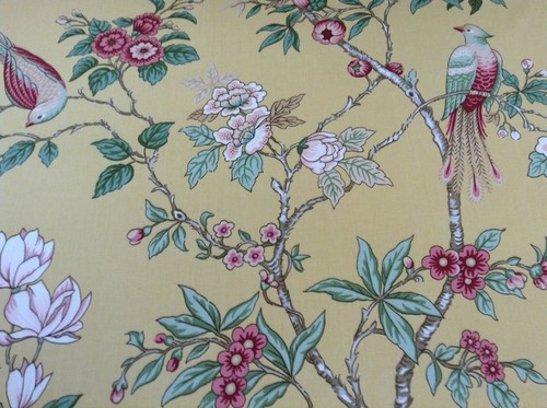 China may birds yellow - china,