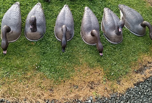 Goose decoys carry lite - goose,
