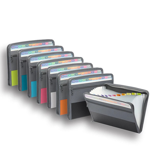 Accordion file organizer with - accordion,
