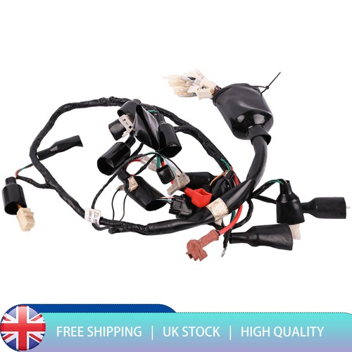 Main wiring loom harness - main, for