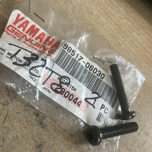 Yamaha 98517 06030 screw - x2,