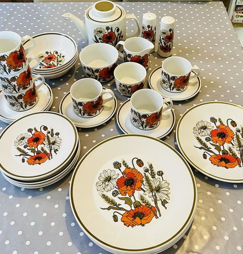 Meakin poppy 33 piece - j&g,