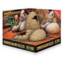 Exo Terra Dinosaur Eggs Fossil