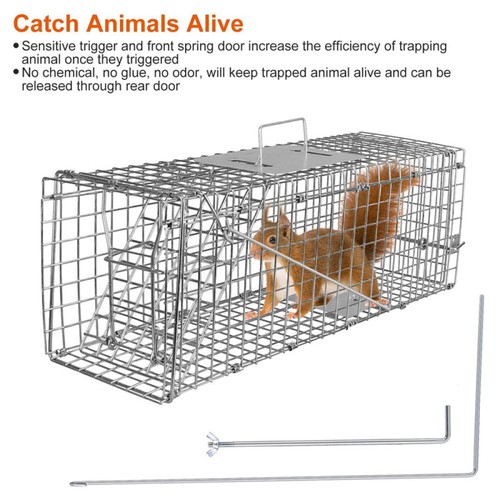 Large humane live catch - large, trap