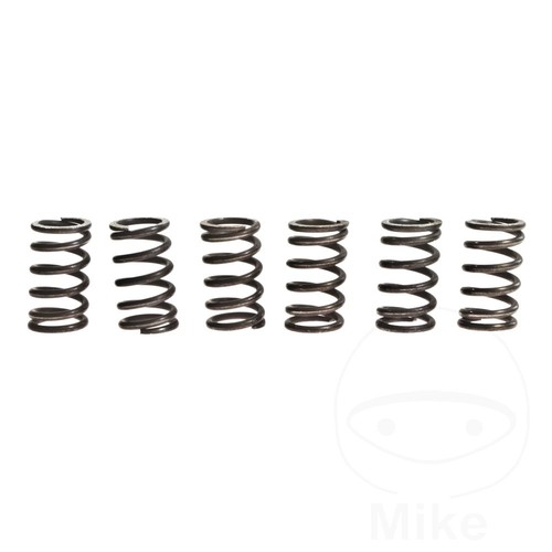 Clutch spring kit - spring, (6)