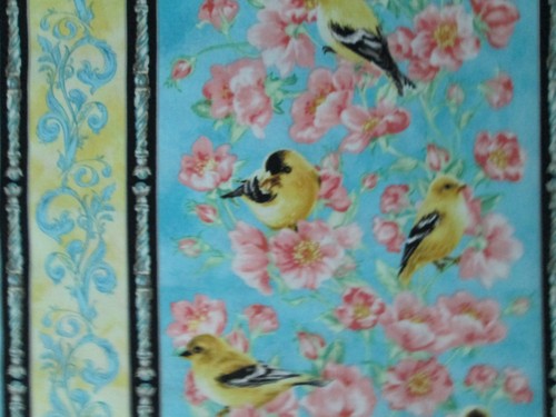 Birds flowers canary - birds,