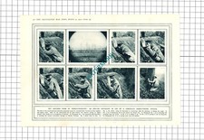 How Ork-Oie Hyposcope Trench Periscope Works - 1915 Clipping / Print