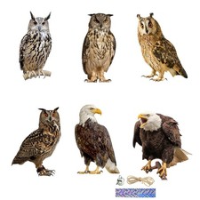 Flat Bird Repel Scarecrow Owl