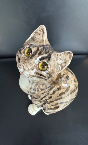 Winstanley seated tabby cat - tabby,