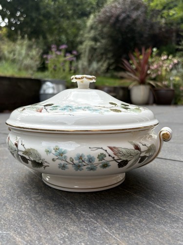 Wedgwood spring morning - wedgwood,