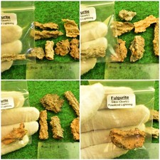 Fulgurite Crystal Fossilized