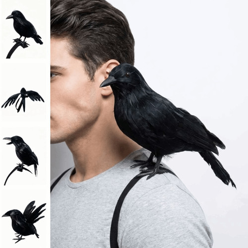 Halloween simulation crow - halloween,