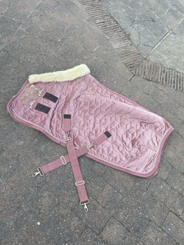 4ft kentucky show rug velvet - 4ft,