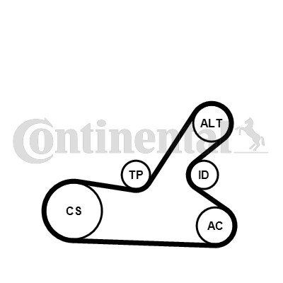 Continental ctam 6pk1145k4 - continental,