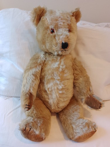 Antique vintage english teddy - antique,