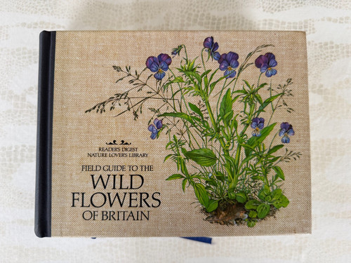 Wild flowers britain - flowers,