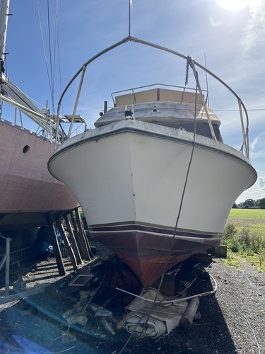 Project boat carver 6 - carver, 28