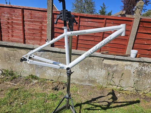 Rare mk1 santa - cruz, chameleon