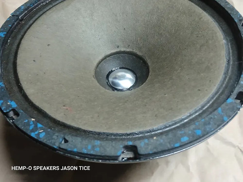 Alnico speaker hemp - 12",